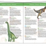 картинка Пазл на наблюдательность "Динозавры" (буклет) интернет-магазин Киндермир